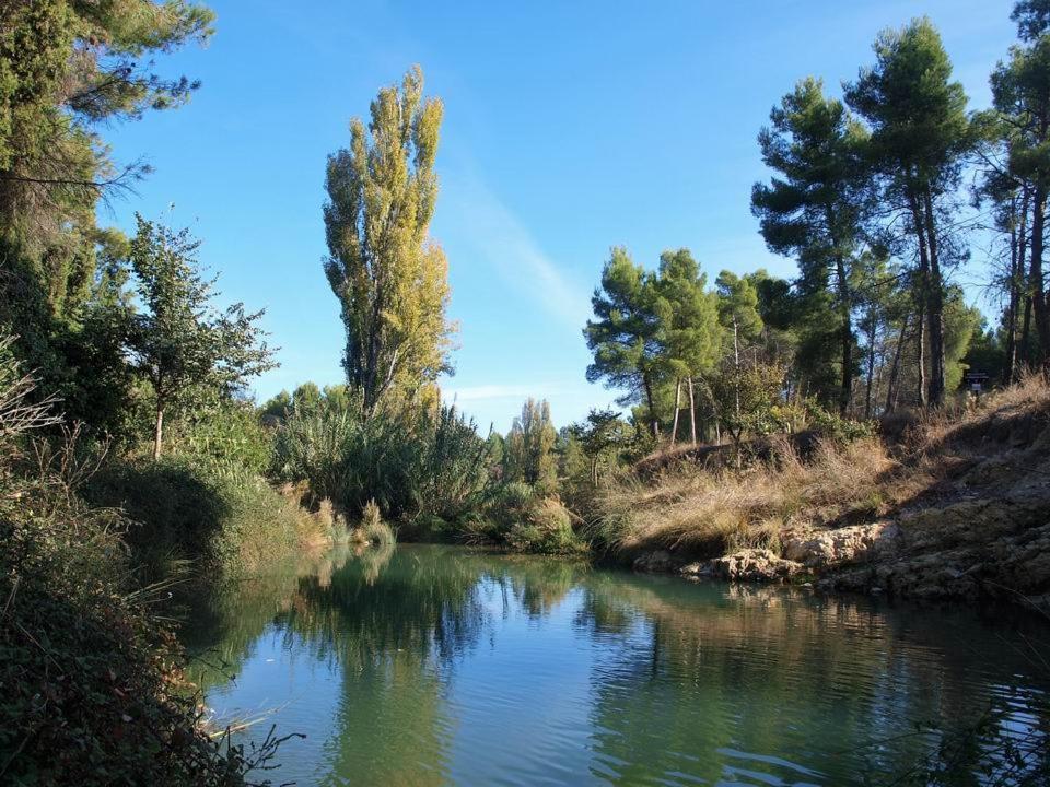 Airam Home Aragon, 7 Almansa Exterior foto